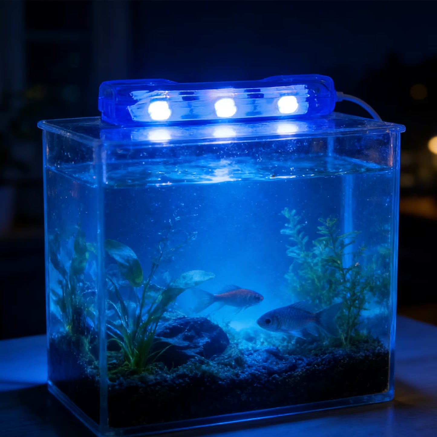 Compact Multicolor LED Aquarium Light