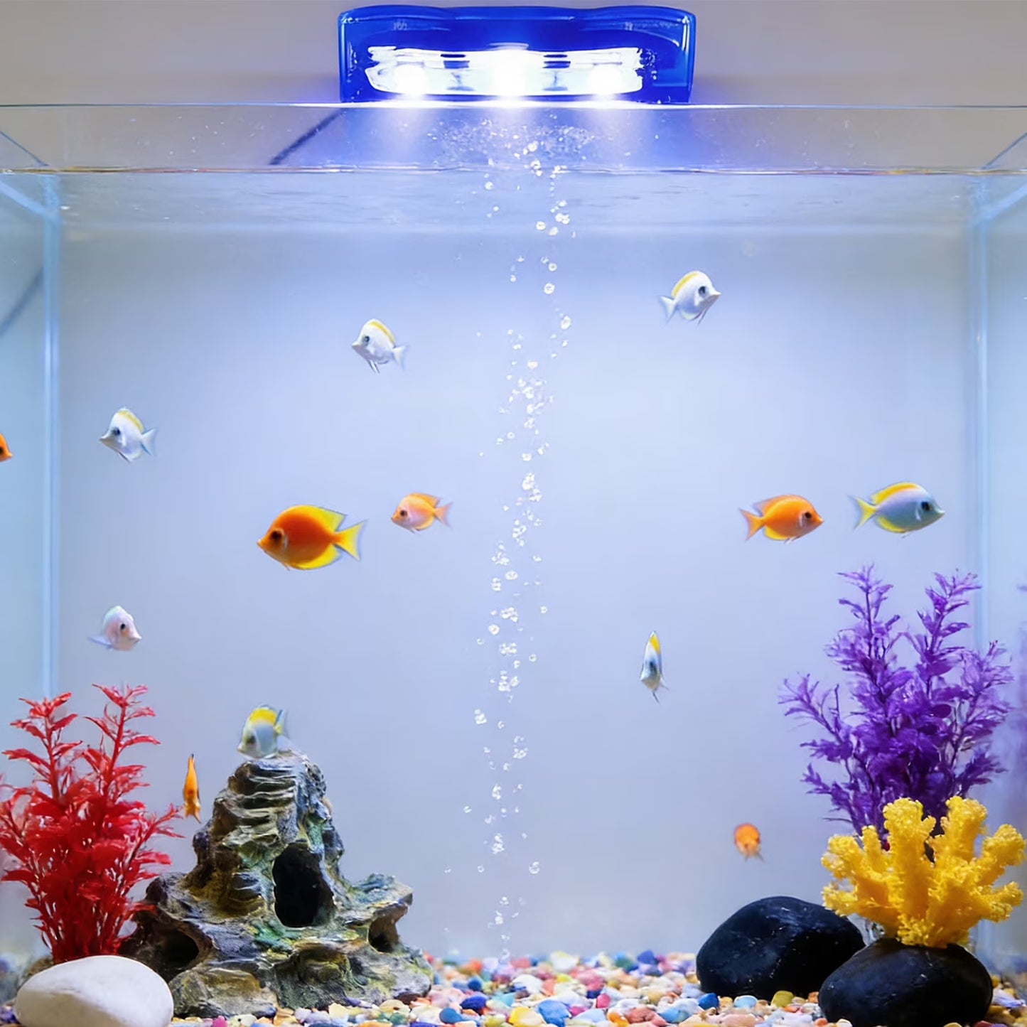 Compact Multicolor LED Aquarium Light